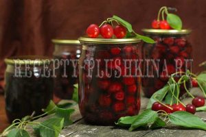вишня в собственном соку на зиму без косточек